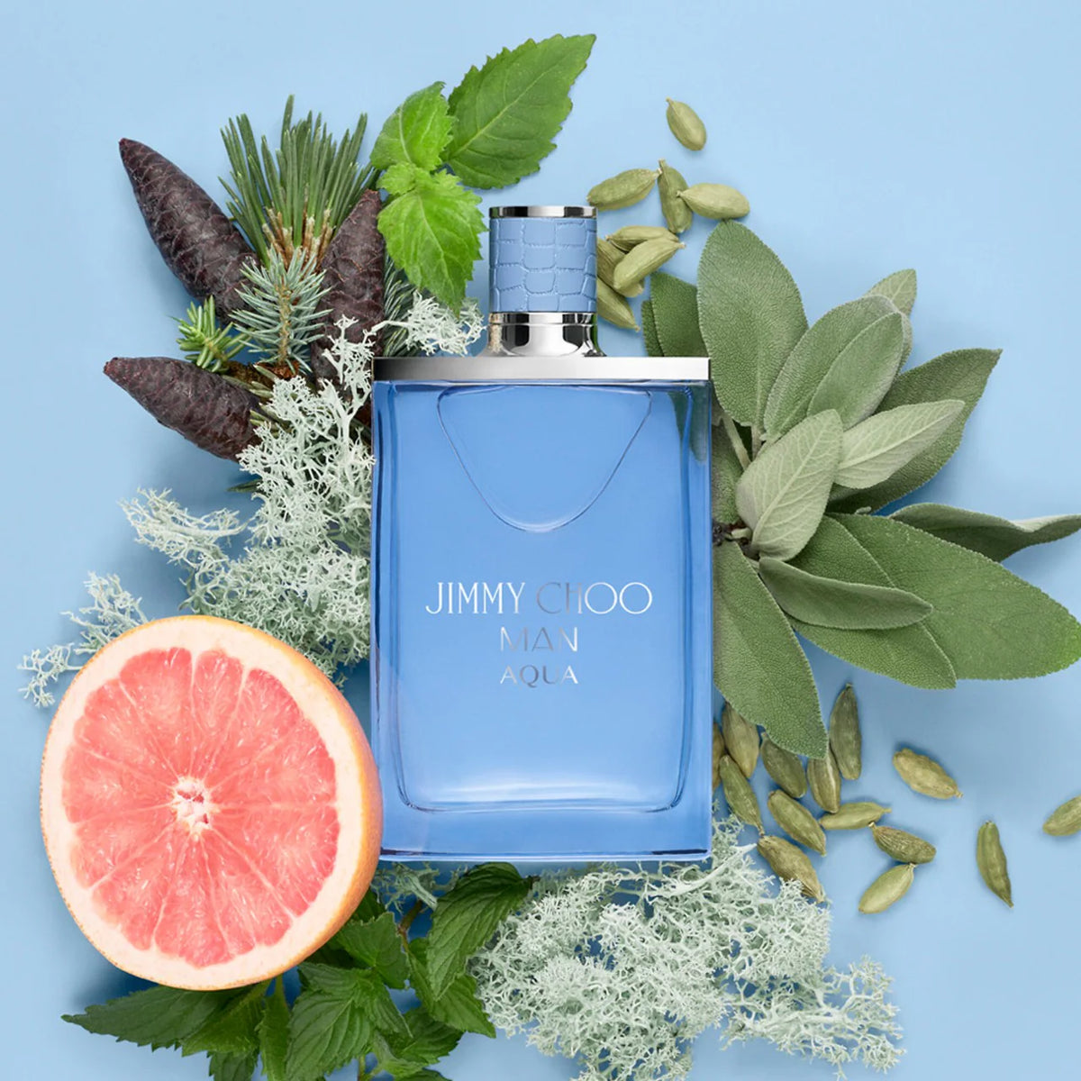 Jimmy Choo Aqua Eau De Toilette (MENS)